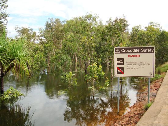 kommt jemand schwimmen?