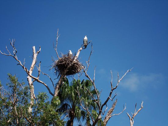 waere doch nur im Leben alles so treu...