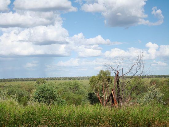 Da wars noch gruen...