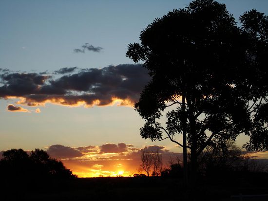 so sehen hier die Sonnenuntergaenge aus