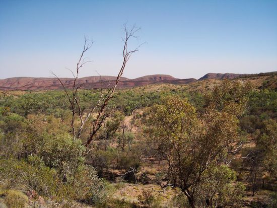 Australien-Reisebericht: "Outback"
