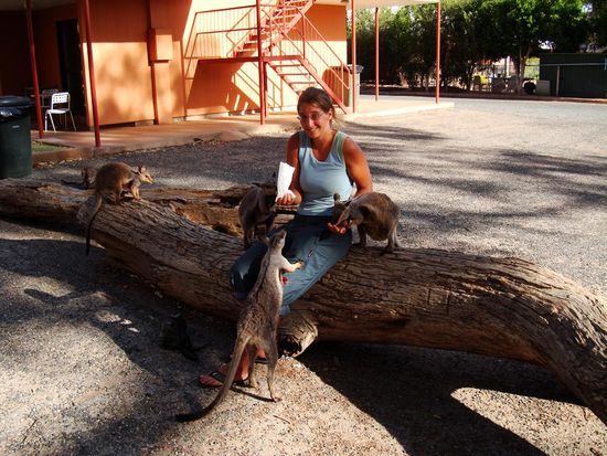 Dane wurde gleich belagert