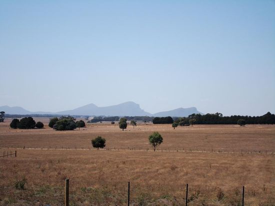 Grampiens von weit weg