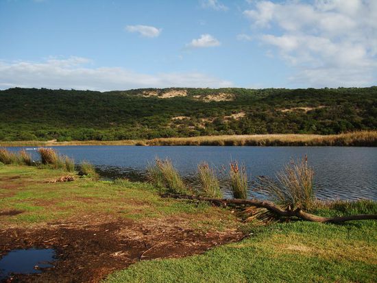 Da muesste es doch Fische drin haben!