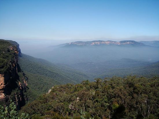 Riesige Eucalyptus Waelder