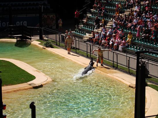 waehrend der Crocshow