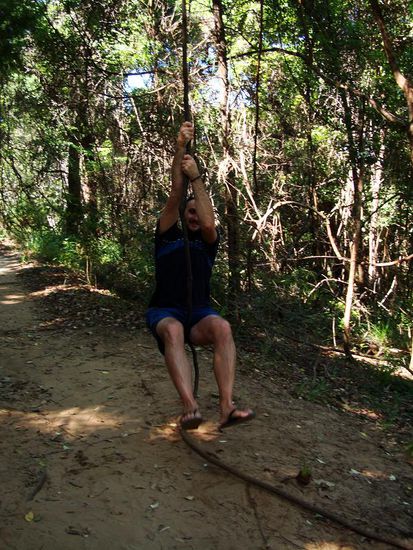 ok, Tarzan machte dies etwas hoeher und eleganter!