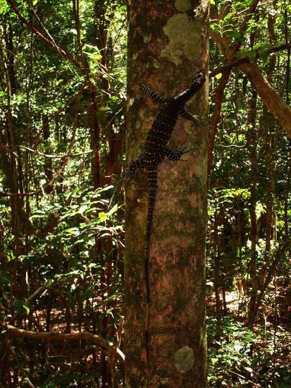 da bringt sich Einer in Sicherheit...