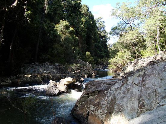Da hat es zuviel Sroemung fuer die kleinen Tierchen