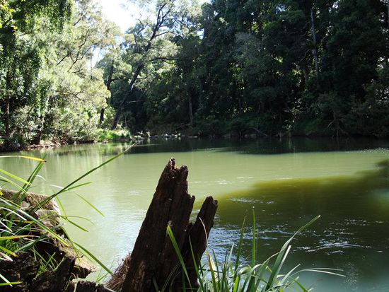 Wo sind die Platypuse?