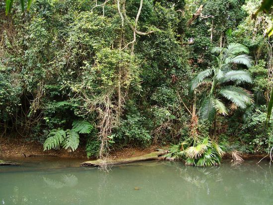 Da fuehlt sich der Platypus wohl...