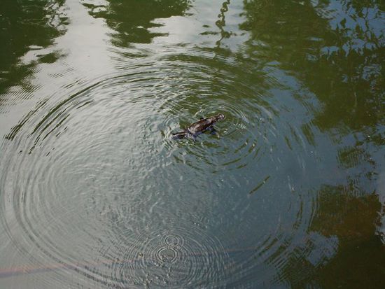 Endlich, da ist einer!