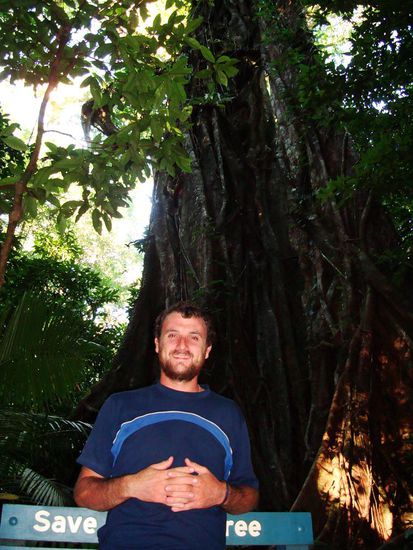 Kleiner Marco vor grossem Baum.