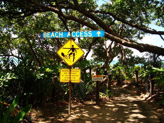 Schade, dass es diese Quallen gibt!