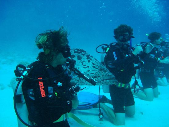 Da hat sich jemand in den Kreis eingeschlichen