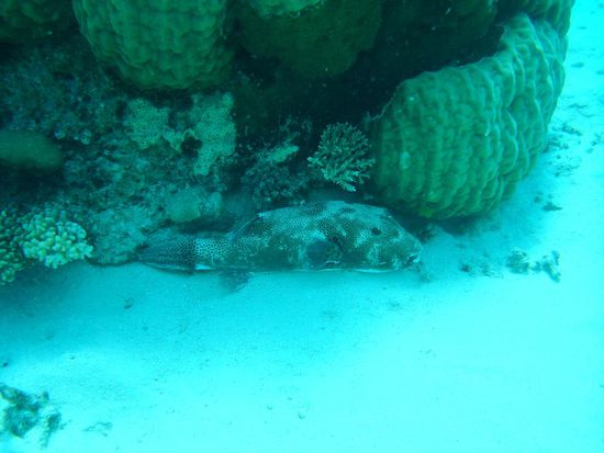 Da bringt auch das Verstecken nichts wenn wir unterwegs sind