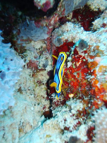 Klein aber einfach wunderschoen!