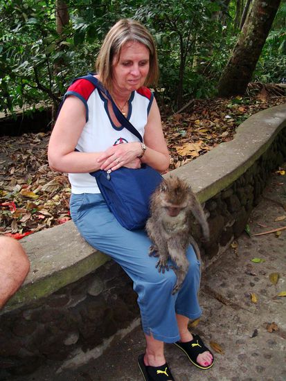 wenn man nicht aufpasste, wurde man gleich belagert...