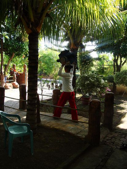 wir mussten nur noch tauchen 