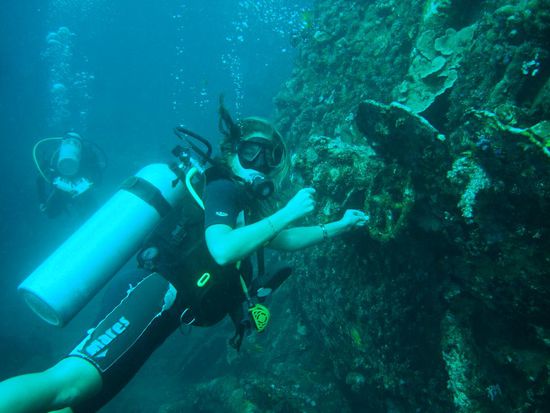 kein Wunder ist das Schiff untergegangen, bei diesem Kaptain...