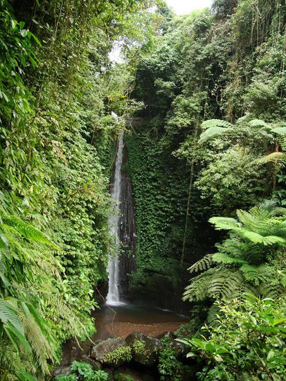 ...und erst dieser Wasserfall!!!