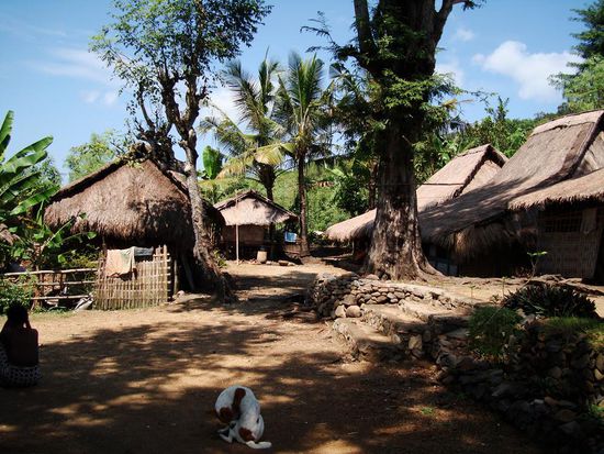 Das Sasak-Dorf, zumindest ein Teil davon.