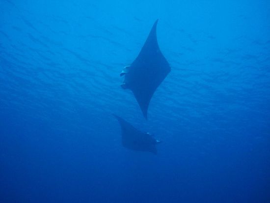 ...deswegen gleich noch ein Bildli!