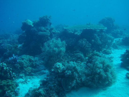 Was soll man dazu noch sagen!