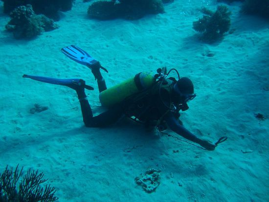 Auch mit der Lupe fand unser Guide coole Meeresbewohner 