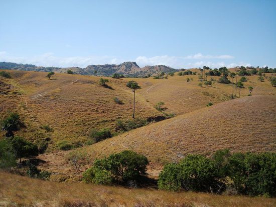 Obwohl Rinca eine sehr trockene Insel ist, bietet sie ein wunderschoenes Panorama...