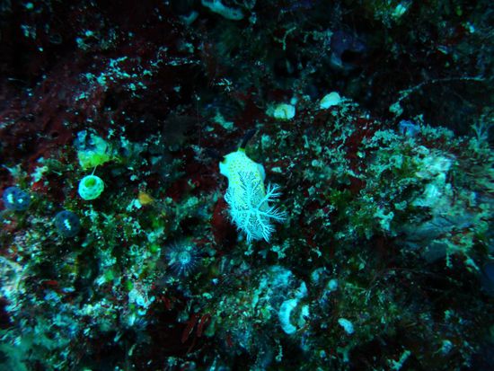 ...ohne Guide haetten wir die wohl uebersehen