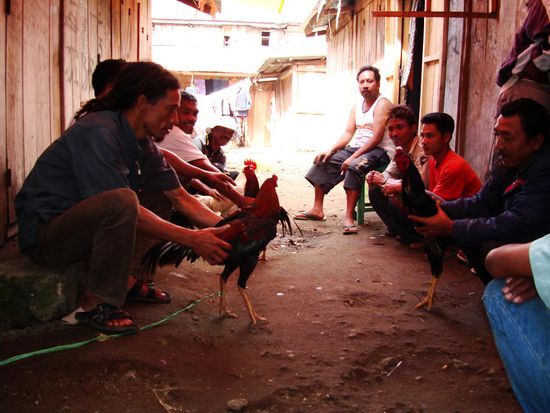 wer hat hier wohl den Starksten?