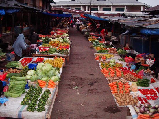 Lecker Gemuese haben sie hier auch! Da freut sich unser Herbivor 
