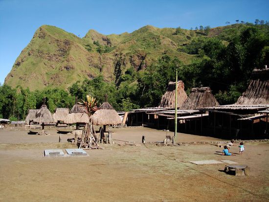 alles ausgeflogen, Feldarbeit!