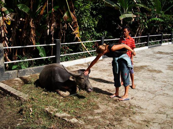 Hallo kleiner Bueffel!