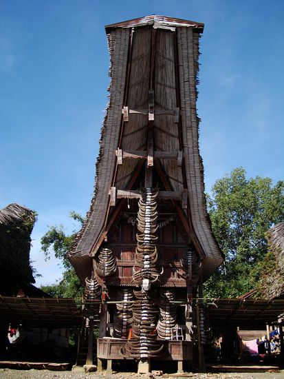 Das waren aber viele Bueffel 