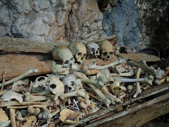 ....und die Knochen fielen runter auf den Boden.