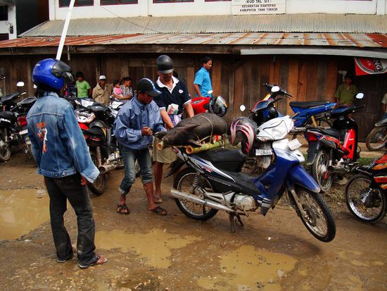 Moderne Transportart....