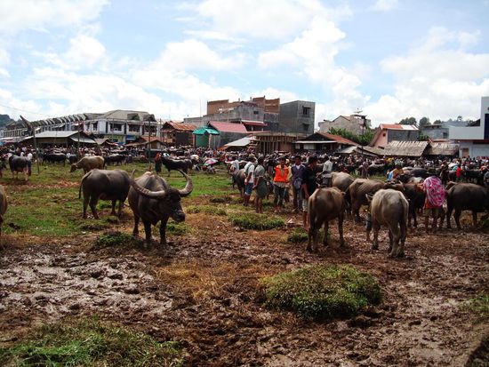 Hier kommt man in den Bueffelshoppingwahn.