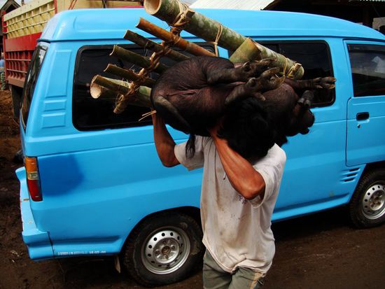 ... aber es geht auch so!