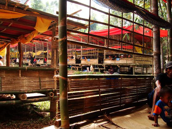 Temporaere Unterkunft.