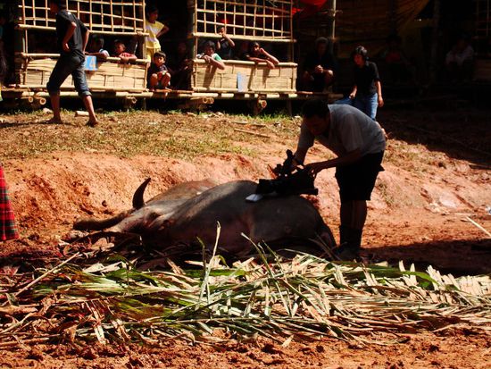 Auch kein schlechtes Stativ