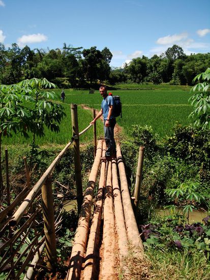 Durch die Reisfelder gehts nun zurueck nach Rantepao