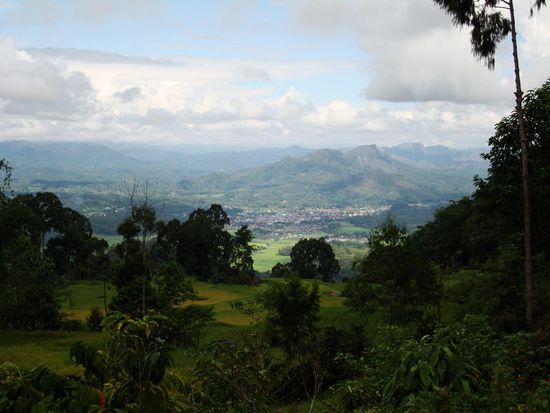 Blick vom Berg auf Rantepao