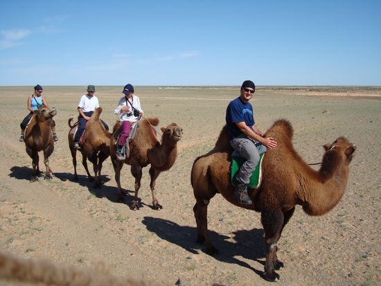 Marco hatte das Rennkamel