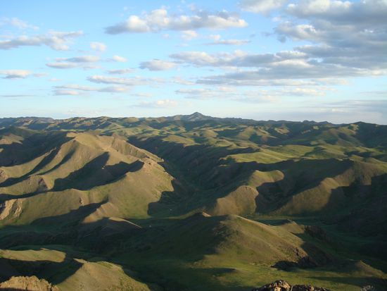 Gruene Oase mitten in der Wueste