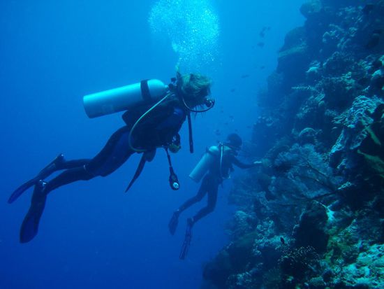 Dane angestrengt am Sachen entdecken 