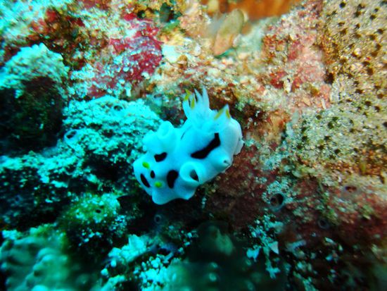 Da ist ja nochmal eine!