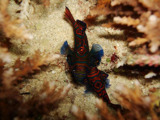 Und Marco konnte super Foeteli machen!