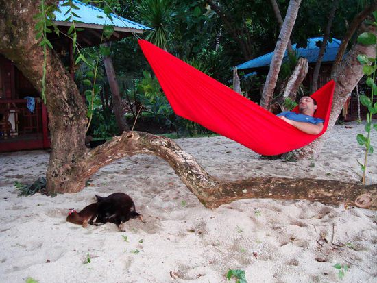 Auch in der Haengematte immer von den Hundis bewacht!